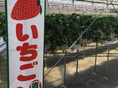 肳joumonfarmi傤ӂ[ށjւ̓eʐ^1