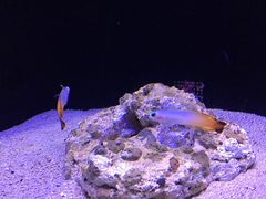 すみだ水族館の口コミ一覧 じゃらんnet