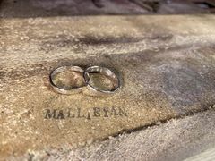 낳̃ANZT[̌H[MALLIEYANy}[zւ̓eʐ^1