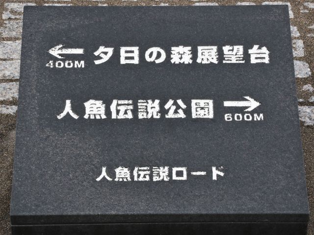 �l���`�����[�h_�L�̕l�C������