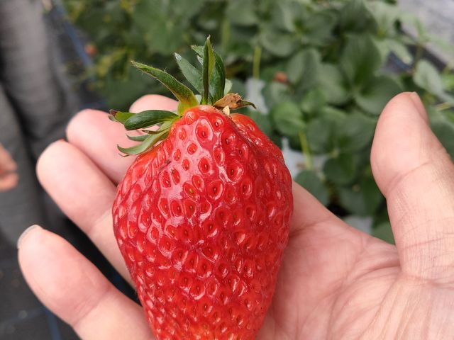 �l��菶�̑傫�����������Ă��̑傫��_�x�ÃA�N�A�t�@�[��