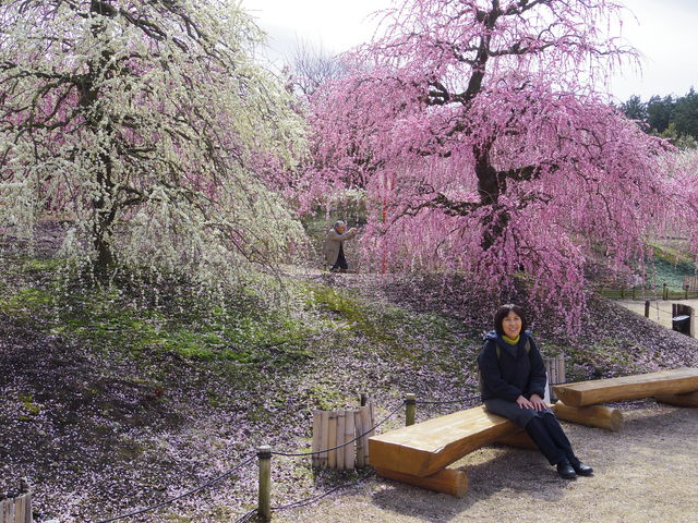 Gx͕ʁ`⍬GłBȂAłB_鎭̐X뉀