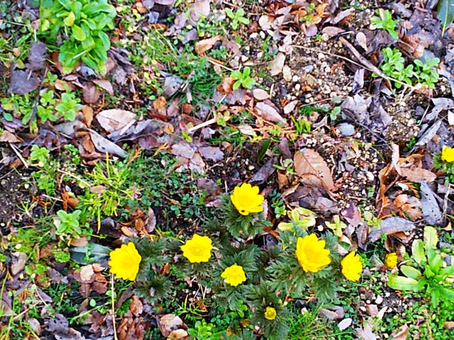 ���F���ԁ@����͈Ⴄ���ȁH_���̉w ���X�g�A�X�e�[�V����