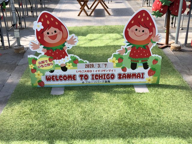 �L�O�ʐ^��_ICHIGO ZANMAI