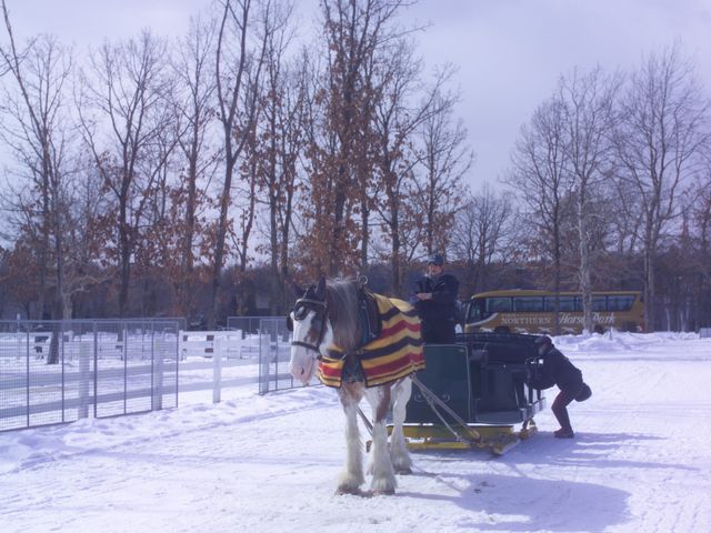 �~��̊ό��n��_�m�[�U���z�[�X�p�[�N