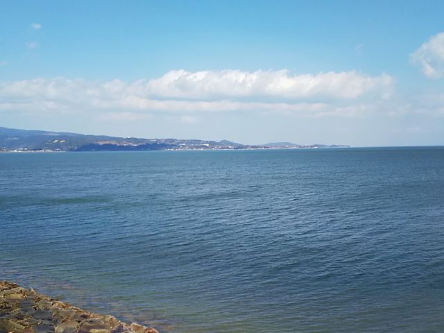 �L���C_�|���p�����h���H���󂯒�h�W�]��