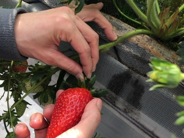 �Â�_���c�_��