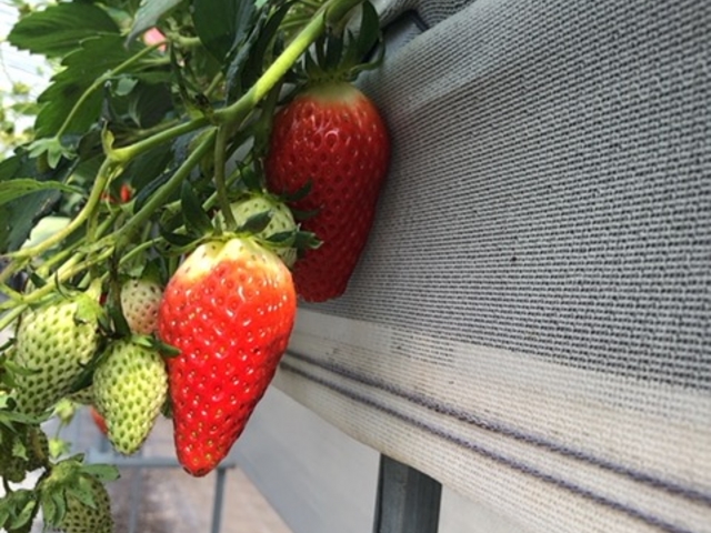 ��������_���c�_��