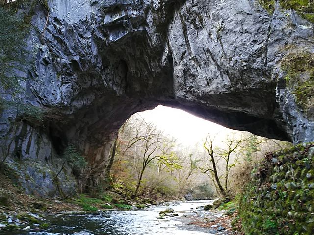 ���̐�̗��ꂪ_�Y��