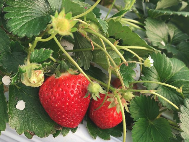 ���ی���Ɠ��傢�����ł�(*�L-`*)�����Â��Ĕ��������I_���E�t���[�Y