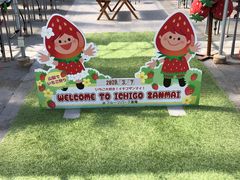 ₶ICHIGO ZANMAIւ̓eʐ^1