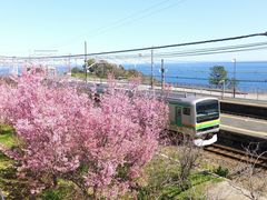 jR񂳂̂iq{wւ̓eʐ^1