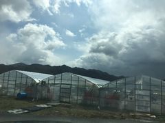 �͂�[����̃W�����J�t�@�[���W�͔_���ւ̓��e�ʐ^1