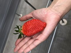 TbJ̃x[YVbvւ̓eʐ^1