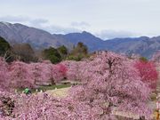 kiyohiko85jp̗鎭̐X뉀̓eʐ^1