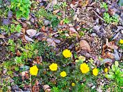 ˂񂳂̓̉w XgAXe[V̓eʐ^7