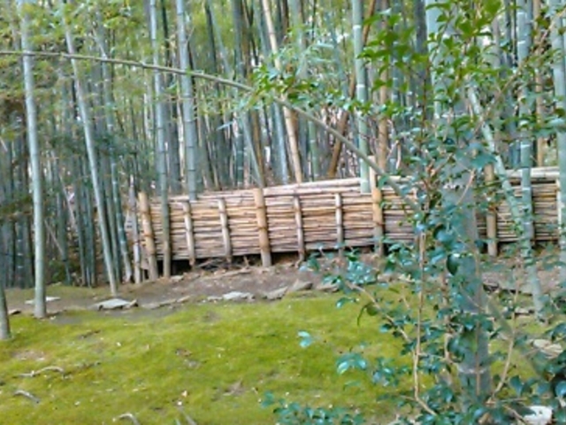 �|��_�����