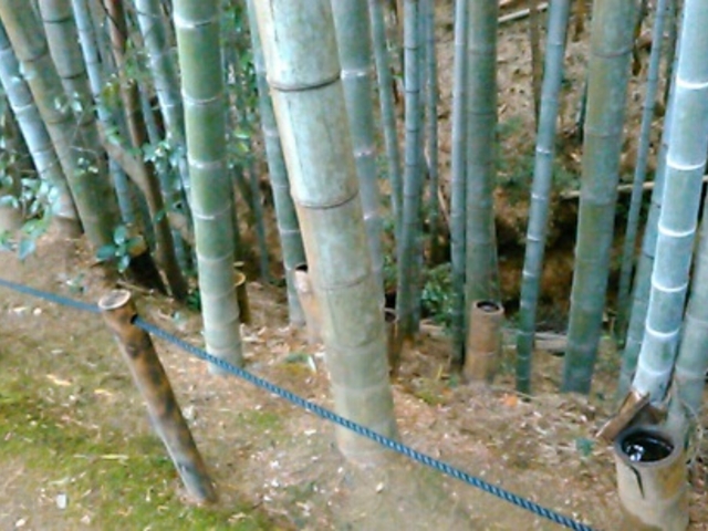 �������ӂ̊R�����̓�_�����