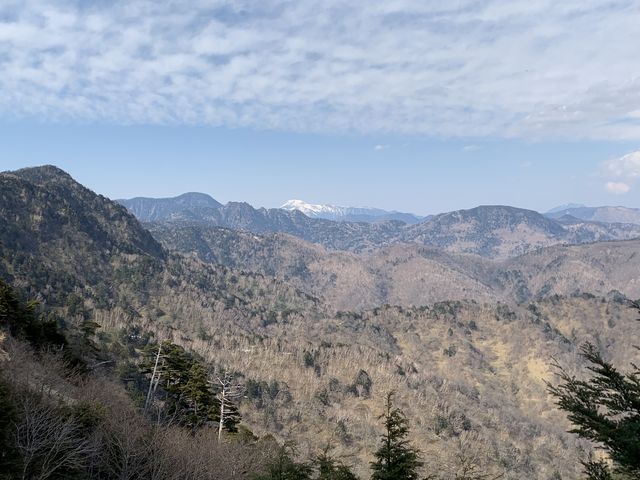 hijikigokěUێR̓eʐ^4