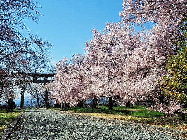 伊那公園 アクセス 営業時間 料金情報 じゃらんnet