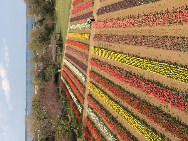 �I�����_�݂���_�،��隬��R����