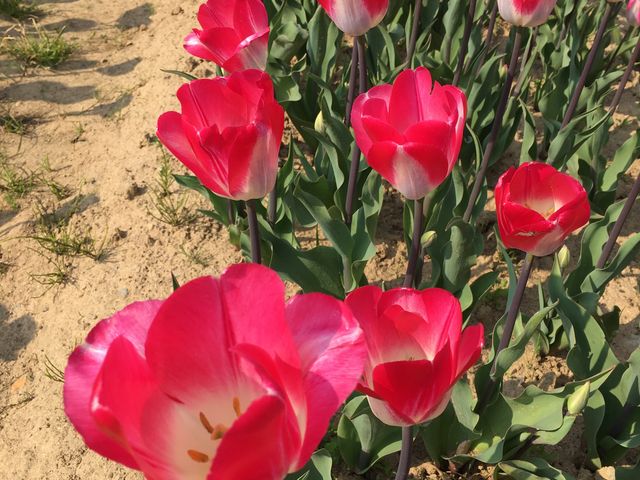 ���J�ł�_�،��隬��R����