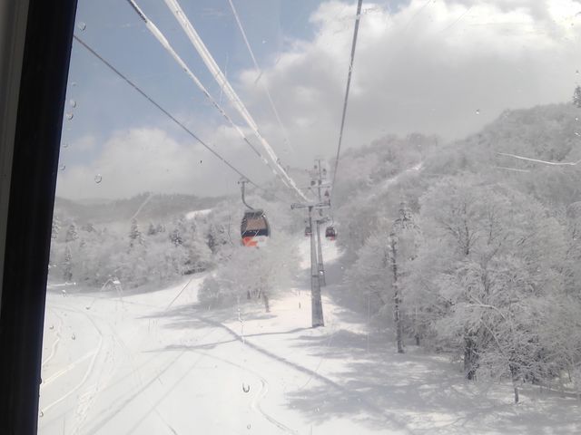 �S���h��������Q�����f�����n���Ă��l�e�͂قƂ�ǖ���_�L�����X�m�[���[���h