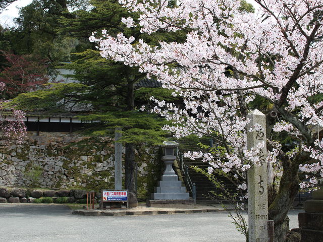 ����_��掛�i�������j