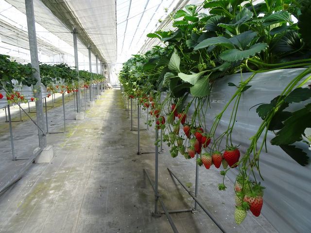 ���`���Y��Ő��������ӂ�邢�������ł���_��������������