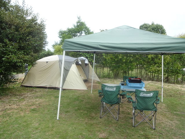 Ђ낳̎]ܐFLv̓eʐ^1