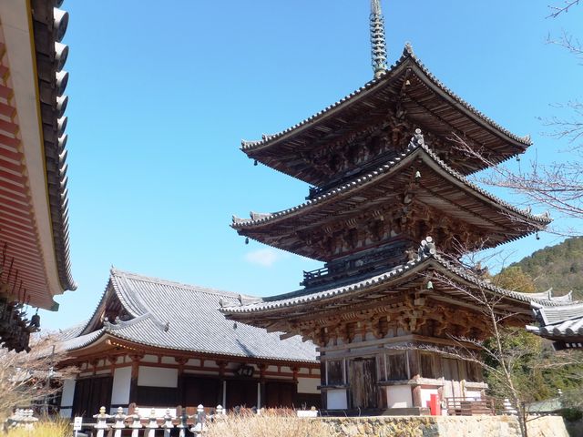 壷阪寺（南法華寺）】アクセス・営業時間・料金情報 - じゃらんnet