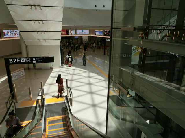 �n���S�ւ̓���_������`