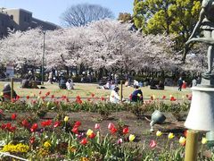 鶴亀松竹梅扇さんの鶴舞公園（愛知県名古屋市）への投稿写真1