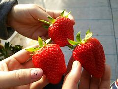 ܂񂲂brown crewւ̓eʐ^1