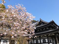 jR񂳂̒J@ωւ̓eʐ^1