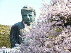 高徳院 鎌倉大仏 の口コミ一覧 じゃらんnet