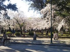 鶴亀松竹梅扇さんの鶴舞公園（愛知県名古屋市）への投稿写真1