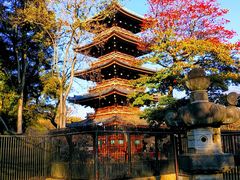 旧寛永寺五重塔の口コミ一覧 じゃらんnet