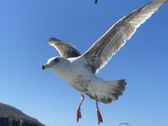 ˂̏M̓AN[Yւ̓eʐ^1