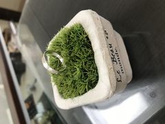 EbL[atelier fineւ̓eʐ^1