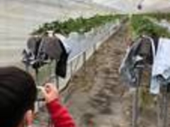 �ǃW��������̃j�R�t�@�[���������ւ̓��e�ʐ^1