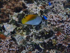 Nature Guide Double Rainbow lC`[KCh@_uC{[̎ʐ^1