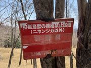 hijikigokěUێR̓eʐ^3