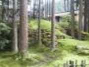 イ̉bq̓m^ۂ̗̓eʐ^1