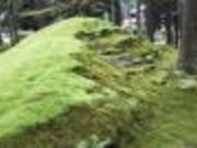 イ̉bq̓m^ۂ̗̓eʐ^2