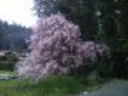 イ̉bq̓m^ۂ̗̓eʐ^3