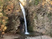 hijikigoke̊ωRs̑̓eʐ^1