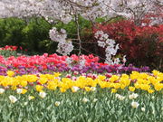 ߂߂񂳂̃fECP̃`[bv̓eʐ^3