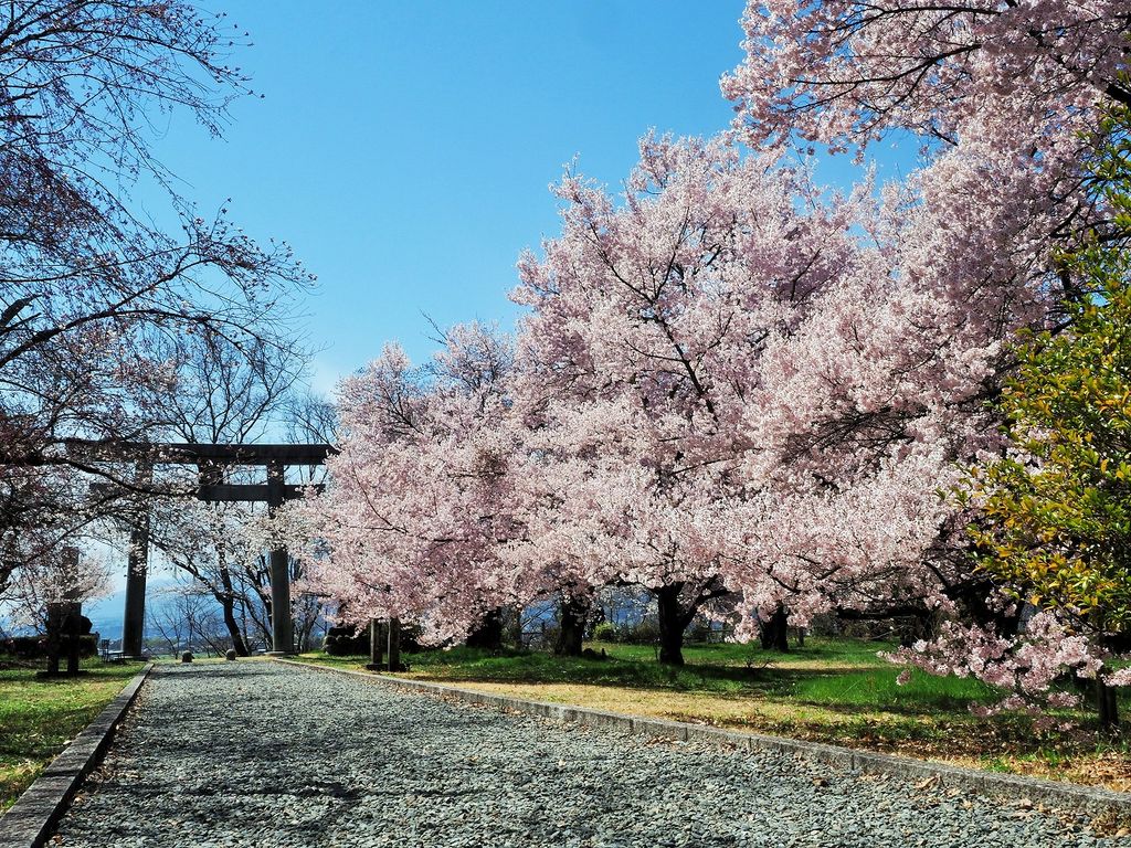 伊那市駅周辺の公園 庭園ランキングtop10 じゃらんnet