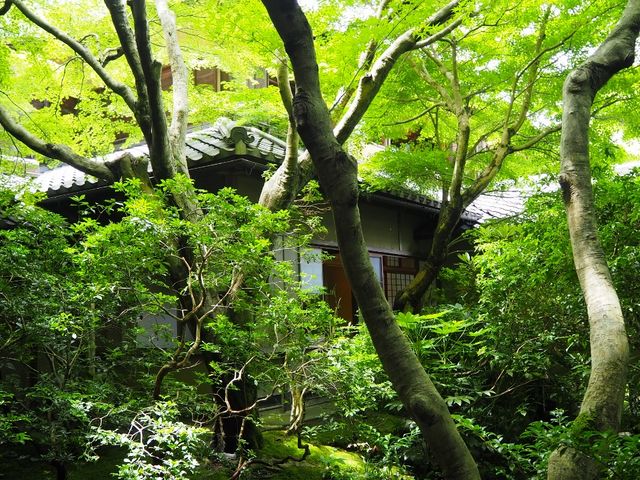 �����͂���ȂɍL���Ȃ��ł��B_�ڗ����@